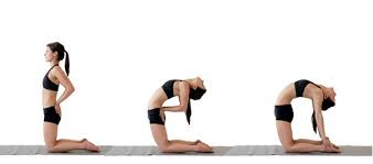 Yoga for large breasted women. How To Increase Breast Size By Doing Yoga