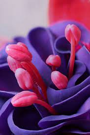 Pin On Color Harmony