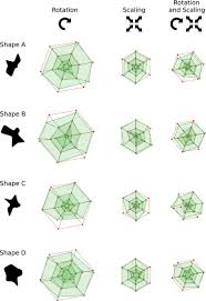 Perception Of Shape And Space Across Rigid Transformations Sciencedirect