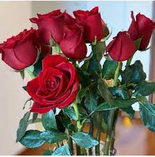 Long Stem Roses Wholesale Flowers Flowers Online Rose Delivery