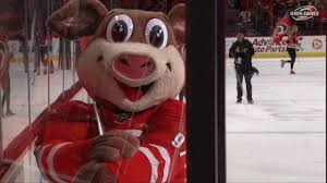 Find gifs with the latest and newest hashtags! Gif Mascot Stormy Nhl Animated Gif On Gifer