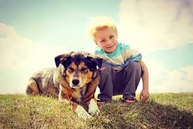 This organization is not bbb accredited. Veterinarian In Montgomery Al The Animal Clinic P C