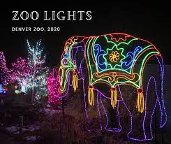 What Is Denver Zoo Lights