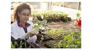 Horticulture Course In India Eligibility Colleges Job Prospects Faqs In 2020 College Job Horticulture Engineering Courses