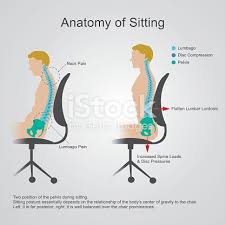 Pin On Human Body Info Graphic