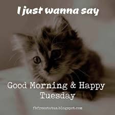 Good morning tuesday quotes funny. 550 Quotes Ideas Quotes Good Morning Quotes Morning Quotes