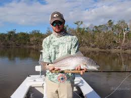 fly fishing marco island marco island updated 2019