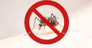 Los síntomas son muy similares a los de la gripe y puede afectar a individuos de cualquier edad. Distressing Dengue Developments Itij