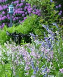 Flower bulbs that deter squirrels. Deer And Rodent Resistant Flower Bulbs