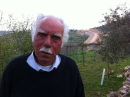 For Palestinian farmer, a constant reminder of Israeli occupation