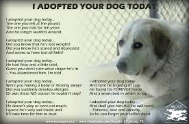 Pet Adoption Poem Rescue Quotes Dog Quotes Dogs