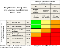 There are two common diseases that can lead to ckd: Kdigo 2018 Clinical Practice Guideline For The Prevention Diagnosis Evaluation And Treatment Of Hepatitis C In Chronic Kidney Disease Abstract Europe Pmc