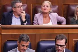 fondo buitre