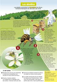Epingle Par Ecole A La Maison Ressource Sur Mon Quotidien Culture G Activites Nature Enfants Lecon De Choses Documentaire Animaux