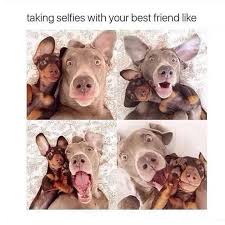 If you want to make someone laugh in no more than 20 seconds what joke would you tell. Facebook