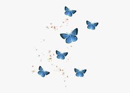 Free png images, clipart, graphics, textures, backgrounds, photos and psd files. Butterfly Butterflys Butterflies Insect Insects Blue Butterfly Transparent Background Hd Png Download Kindpng