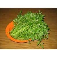 Bila sebut saja kerabu, pasti ada yang kecur bila mendengarnya. Purchase Wholesale Selom Leaves Daun Selom Sold Per Kg From Trusted Suppliers In Malaysia Dropee Com