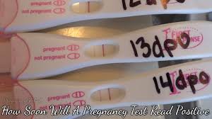Pin On Pregnancy Global