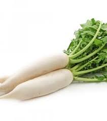 Daikon Le Radis Blanc Healthy A Decouvrir D Urgence Radis Blanc Radis Radis Noir
