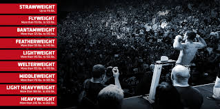 Rankings were generated by a voting panel made up of media members. Ufc Weight Classes Champions 99 Degree