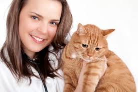 Bonne nouvelle! La formation de Soins animaliers débutera en janvier 2022.  Période d'inscriptions du 18 au 29 octobre 2021 *Même si vous avez remis  votre nom à l'accueil du CEP, vous devez