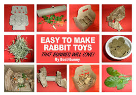 Maybe you would like to learn more about one of these? Easy To Make Rabbit Toys That Your Bunnies Will Love Best 4 Bunny