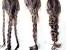 Beginner Easy Hairstyles For Thick Hair
