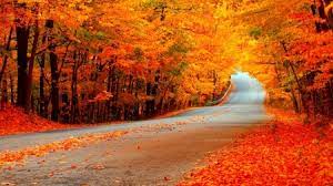 It still takes good pictures. Beautiful Fall Forests Nature Background Wallpapers On Desktop Nexus Image 2421873