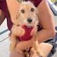 Rogue Valley Clinic — The Street Dog Coalition