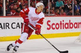 #filip zadina #nhl draft 2018 #prospects #i hope so too buddy #i'm so hyped #mine. Red Wings Final 2021 Report Card Jakub Vrana Jonathan Bernier Lead The Way With Top Grades The Athletic