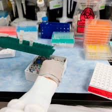 На арене вакцина компании novavax. How Novavax Won 1 6 Billion To Make A Coronavirus Vaccine The New York Times