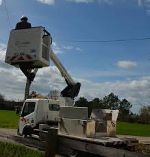 Montauban La Fibre Tant Attendue Arrive Les Riverains Restent Mobilises Ladepeche Fr
