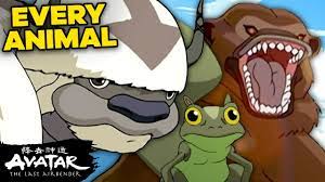 Get it as soon as thu, jul 8. 25 Animals From Avatar The Last Airbender I Wish Were Real Avatar Youtube
