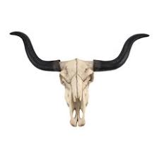 Modern farmhouse home decor | painted cow head mounts longhorn steer & dairy cow head or skull art. Cow Skull Houzz