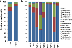 Relative Abundance Of Bacterial Phyla Including