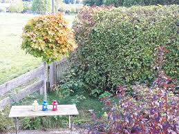 Sie Haben Einen Grossen Garten Und Mochten Diesen Zur Wahren Wohlfuhloase Machen Dann Lesen Sie Unbedingt Unsere Heutigen Tipps Zur Gestaltunggrossegarte