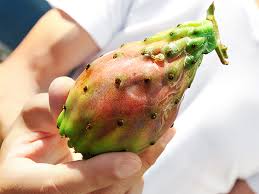 It also helps you feel fuller longer, to reduce the likelihood of overeating, which can negatively affect blood sugar. Prickly Pear Oil Benefits Uses And Tips