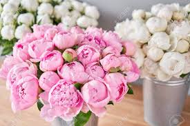 Welcome to the rouvalis flowers & gardens online! Different Varieties Of Peonies In A Metal Vases Beautiful Peony Flower For Catalog Or Online Store Floral Shop Concept Beautiful Fresh Cut Bouquet Flowers Delivery Stock Photo Picture And Royalty Free