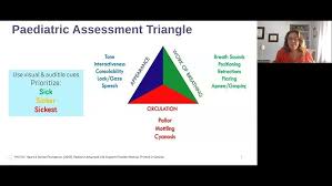 Image result for Pediatric Assessment Triangle