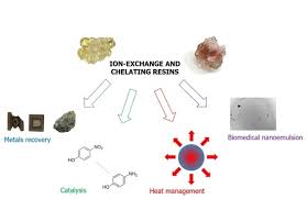 Ver online una película en gnula es sinónimo de calidad. Polymers Free Full Text A Mini Review On Anion Exchange And Chelating Polymers For Applications In Hydrometallurgy Environmental Protection And Biomedicine Html