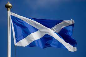 Kwiatem symbolizującym szkocję jest oset (thistle). Szkocja Informacje Praktyczne Idziemy Dalej