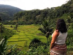 And not just that, it also has more beautiful nature than bali. 18 Things To Do In Flores Indonesia The Ultimate Flores Itinerary Taylor S Tracks