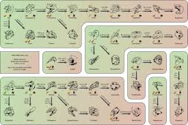 Ark Aberration Kibble Chart Www Bedowntowndaytona Com