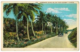 Florida Vintage Postcard Dixie Highway 1920s Travel Etsy Florida Vintage Postcard Postcard