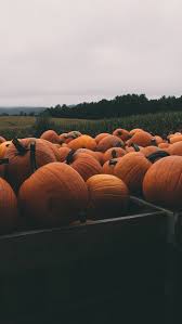 Autumn Wallpaper On Tumblr