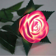 Led Light Up Roses Red Walmart Com Sugar Scrub Diy Led Lights Light Up