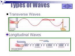 In transverse waves, the particle movement is perpendicular to the direction of wave propagation. Characteristics Of Longitudinal And Transverse Waves Class 11 Revision Notes On Waves Sound Waves Askiitians For Example The Seismic Earthquake Waves Produced In The Interior Of Earth Travel Both In