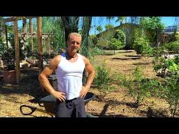 Check spelling or type a new query. Planting An Ice Cream Bean Tree In Phoenix Arizona Youtube