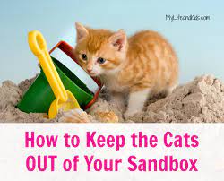 Cats love mint, honeysuckle and catnip. How To Keep The Cats Out Of Your Sandbox My Life And Kids Kids Sandbox Cats Sandbox