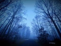 Did anyone else see the foggy rainbow this morning